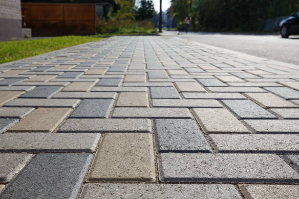 Best Best Driveway Pavers  in Ruhenstroth, NV